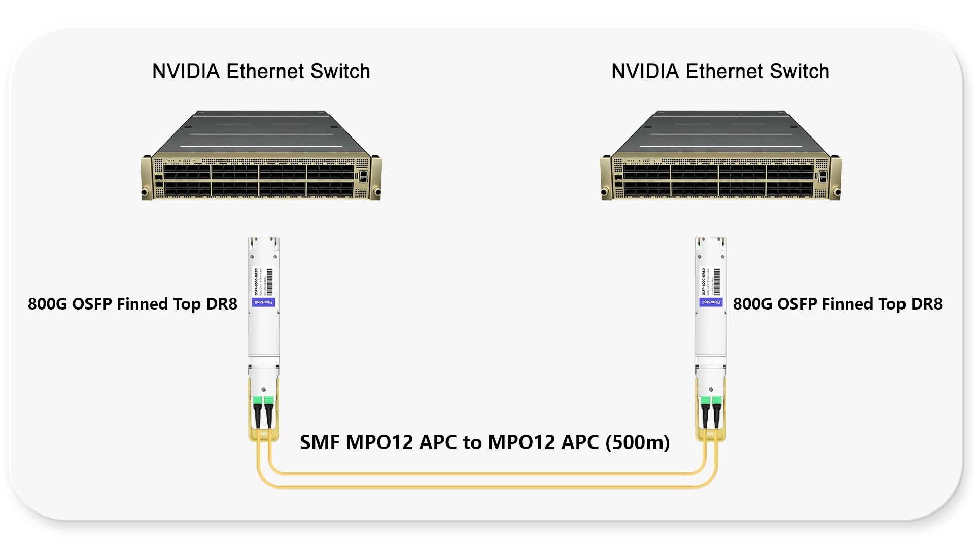 800G Ethernet Switch to Switch